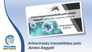 Arboviroses Transmitidas Pelo Aedes Aegypti ( Dengue e Zika )